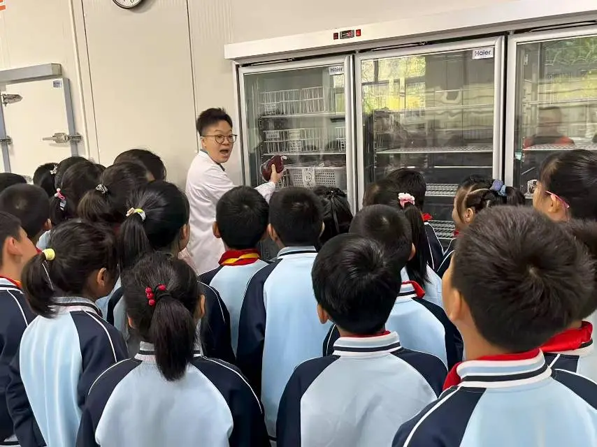 图片9.png 图片9.png